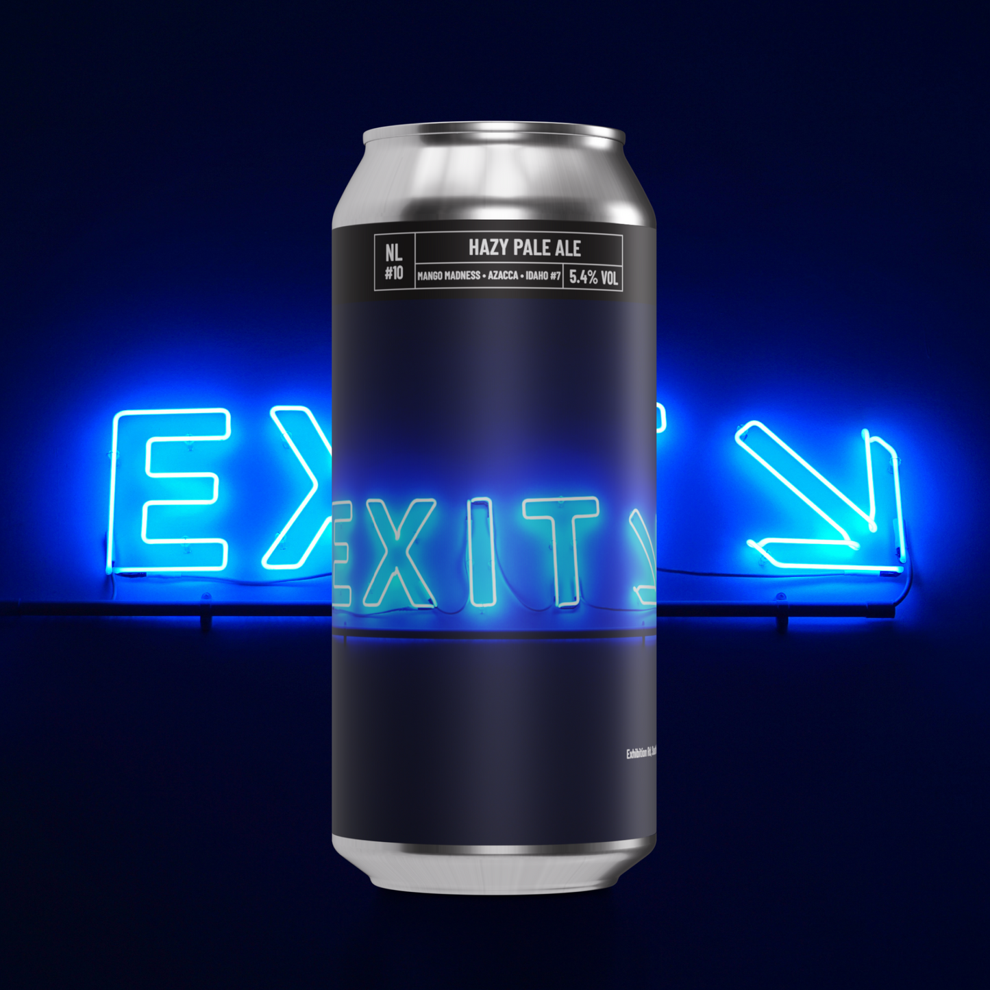 NL#10 - Hazy Pale Ale