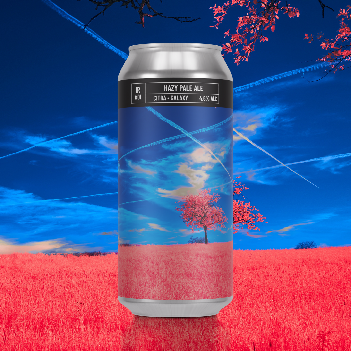 IR#01 - Hazy Pale Ale